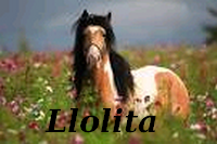Llolita